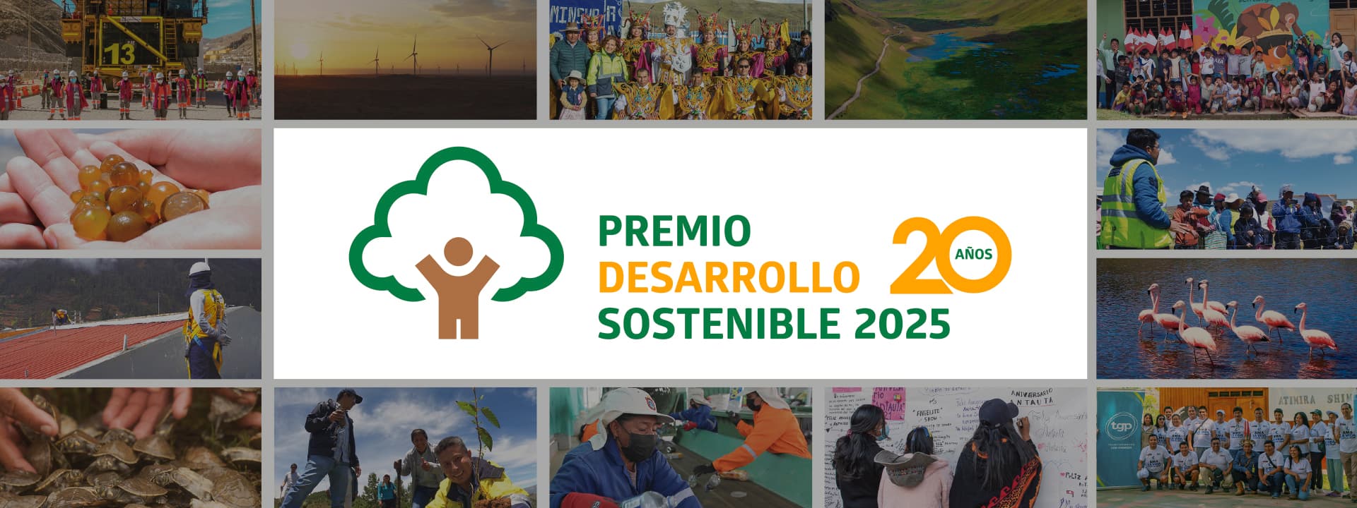 Premio Desarrollo Sostenible_2025